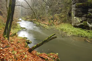 Kamenice River flowing past large rocks in wood, Hrensko, Ceske Svycarsko / Bohemian Kamenice River flowing past large rocks in wood, Hrensko, Ceske Svycarsko / Bohemian