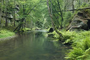 Krinice River flowing through wood with large rocks, Dlouhy Dul, Ceske Svycarsko Krinice River flowing through wood with large rocks, Dlouhy Dul, Ceske Svycarsko