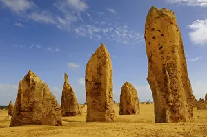 Limestone formations in the Pinnacles desert, Nambung National Park, Western Australia Limestone formations in the Pinnacles desert, Nambung National Park, Western Australia