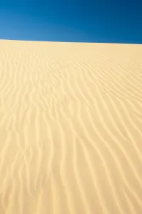 Little Sahara dunes, Seal Bay Conservation Park, Kangaroo Island, South Australia State Little Sahara dunes, Seal Bay Conservation Park, Kangaroo Island, South Australia State