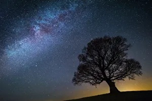 Milky Way in night sky with silhouette of tree, Brecon Beacons National Park,an Milky Way in night sky with silhouette of tree, Brecon Beacons National Park,an