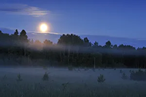 Moon over the Kemeri National Park, Latvia, June 2009 Moon over the Kemeri National Park, Latvia, June 2009