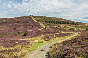Offa's Dyke path leading to the summit of Moel Famau in the Clwydian Mountain Range Offa's Dyke path leading to the summit of Moel Famau in the Clwydian Mountain Range