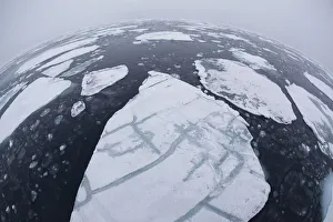 Pack ice on sea, Svalbard, Norway, August 2009 Pack ice on sea, Svalbard, Norway, August 2009