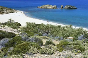 The palm beach in Vai, Crete, Greece, April 2009 The palm beach in Vai, Crete, Greece, April 2009