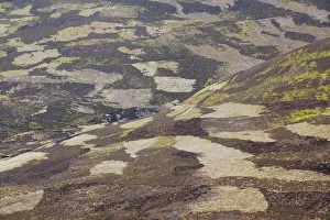 Patchwork of muirburn on moorland managed for grouse shooting, Cairngorms NP, Deeside Patchwork of muirburn on moorland managed for grouse shooting, Cairngorms NP, Deeside