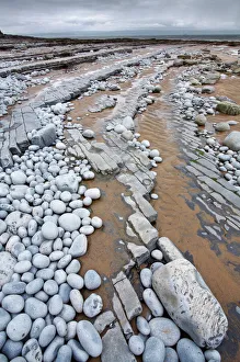 Pebbles on Nash Point, Monknash Coast, Vale of Glamorgan, Wales, UK, June 2006 Pebbles on Nash Point, Monknash Coast, Vale of Glamorgan, Wales, UK, June 2006