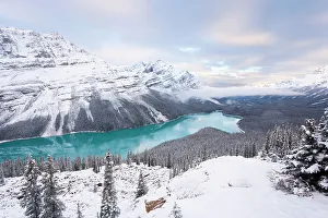 Peyto Lake, coloured by glacial silt, Banff-Jasper National Parks, Alberta, Canada, 2007 Peyto Lake, coloured by glacial silt, Banff-Jasper National Parks, Alberta, Canada, 2007