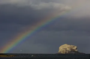Rainbow and storm clouds over Bass Rock in the distance, which is the breeding ground for 140 Rainbow and storm clouds over Bass Rock in the distance, which is the breeding ground for 140