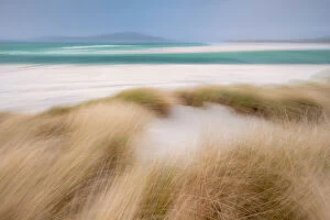 Prints for your Bathroom Collection: RF - Sand dunes with Marram grass (Ammophila arenaria) and beach at Seilebost beach