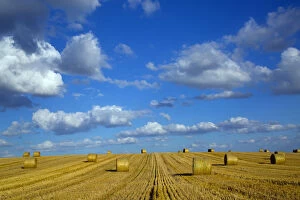Agricultural Land Collection: RF - Straw stubble and bales after harvest, Northrepps Village, Norfolk, England, UK