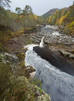 River Affric flowing through Silver birch and Scots pine woodland in autumn, Glen Affric River Affric flowing through Silver birch and Scots pine woodland in autumn, Glen Affric