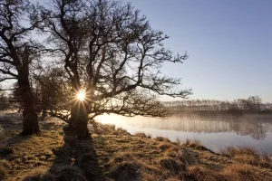 River Spey in spring, sun rising behind trres, Cairngorms National Park, Scotland River Spey in spring, sun rising behind trres, Cairngorms National Park, Scotland