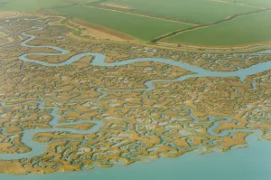 Saltmarsh and reclaimed agricultural land from the air. Abbotts Hall Farm, Essex Saltmarsh and reclaimed agricultural land from the air. Abbotts Hall Farm, Essex
