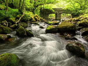 Shaugh Bridge in early spring, Shaugh Prior, near Plympton, Dartmoor National Park, Devon, UK Shaugh Bridge in early spring, Shaugh Prior, near Plympton, Dartmoor National Park, Devon, UK