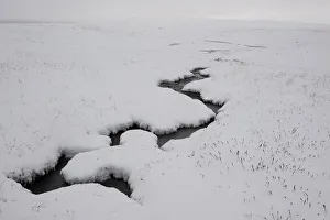 Small stream flowing through snow covered landscape, Forollhogna National Park, Norway Small stream flowing through snow covered landscape, Forollhogna National Park, Norway