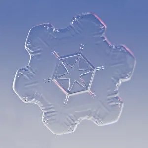Snowflake magnified under microscope, Lilehammer, Norway Snowflake magnified under microscope, Lilehammer, Norway