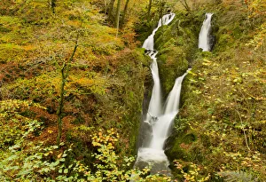 Stock Ghyll waterfall in autumn, Lake District NP, Cumbria, England, UK, November Stock Ghyll waterfall in autumn, Lake District NP, Cumbria, England, UK, November