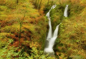Stock Ghyll waterfall in autumn, with motion blur from wind, Lake District NP, Cumbria Stock Ghyll waterfall in autumn, with motion blur from wind, Lake District NP, Cumbria