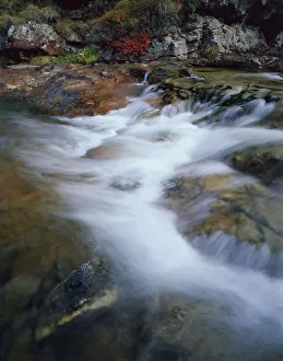 Stream, Ruisseau du Cot, near to Cirque de Troumouse, Pyrenes, France, October 2008 Stream, Ruisseau du Cot, near to Cirque de Troumouse, Pyrenes, France, October 2008