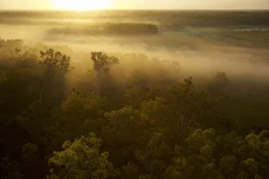 Sunrise illuminates mist over Green Swamp. Piccaninny Plains Sanctuary Cape Sunrise illuminates mist over Green Swamp. Piccaninny Plains Sanctuary Cape
