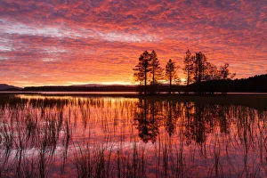 Sunset over Loch Garten, Abernethy Forest, Cairngorms National Park, Scotland, UK Sunset over Loch Garten, Abernethy Forest, Cairngorms National Park, Scotland, UK
