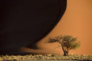 Landscape Prints: Sossusvlei Sand Dune Patterns Print