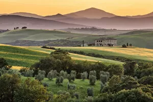 Agricultural Land Collection: Tuscan farmhouse and olive grove, Val d Orcia, Tuscany, Italy, May 2018