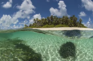 View of Byoutier. a very small island in the Seychelles with a pristine beach. Byoutier View of Byoutier. a very small island in the Seychelles with a pristine beach. Byoutier