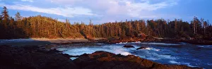 A view of a forested inlet lit by low sunlight. Aggro Beach, west coast of Vancouver Island A view of a forested inlet lit by low sunlight. Aggro Beach, west coast of Vancouver Island