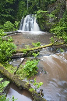View of a waterfall with a fallen tree in the foreground, Fairy Glen RSPB reserve View of a waterfall with a fallen tree in the foreground, Fairy Glen RSPB reserve