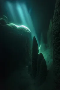 Under water in the Abismo Anhumas or Anhumas Abyss. This is a 80 metre deep lake Under water in the Abismo Anhumas or Anhumas Abyss. This is a 80 metre deep lake