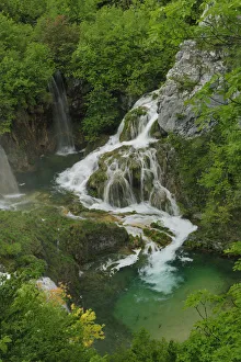 Waterfall and rapids falling into a mountain pool. Plitvice National Park, Croatia, May 2010 Waterfall and rapids falling into a mountain pool. Plitvice National Park, Croatia, May 2010