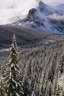 Wenkchemna Peaks or Ten Peaks rising over Moraine lake in the snow, near Lake Louise Wenkchemna Peaks or Ten Peaks rising over Moraine lake in the snow, near Lake Louise