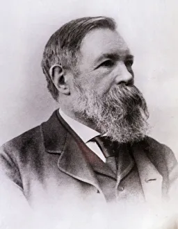 Old Man With Beard Prints: 2684751