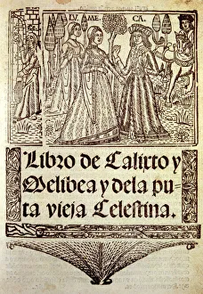 Medieval Woodcut Print: Three Women in Heraldic Garden