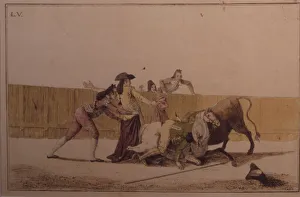 Matador In Action Prints: 2684830