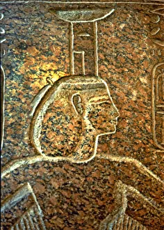 Egyptian Hieroglyphic Symbols Prints: 2684905