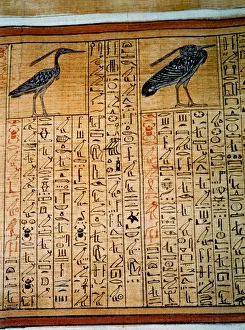 Ancient Egyptian Papyrus Prints: 2684968