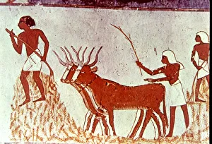 Daily Life In Ancient Egypt Prints: 2685520
