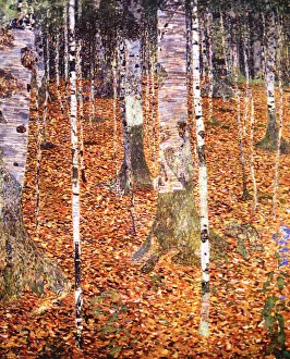 Autumn Birch Forest Print