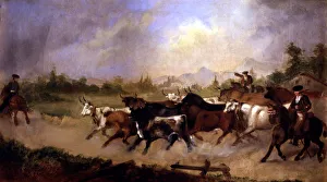 Horseback Riding Cowboys Prints: 2686397
