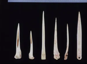 Ancient Bone Tools Print - Early Human Technology