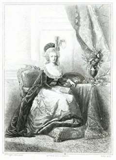 Historic Interior Design Prints: 2687389