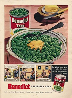 Heritage Images Print of 1951 Benedict Processed Peas Advert