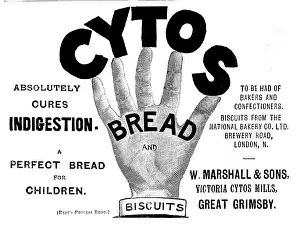 Illustrated London News Ads Prints: Advertisement for Cytos Bread and Biscuits, 1895. Creator: Unknown