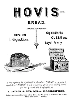 Hovis Bread Print, 1895 Advertisement