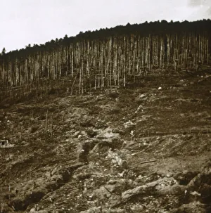 Early 20th Century Conflict Prints: Alsace, c1914-c1918