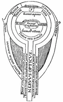 Alhazen Collection: Anatomy of the eye, 1572