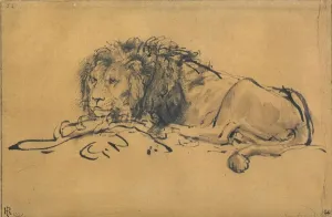 Rembrandt Prints: Rembrandt Lion Print, Louvre Collection, c1650